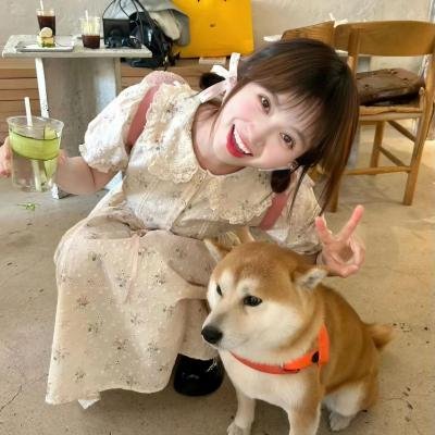 动物行为